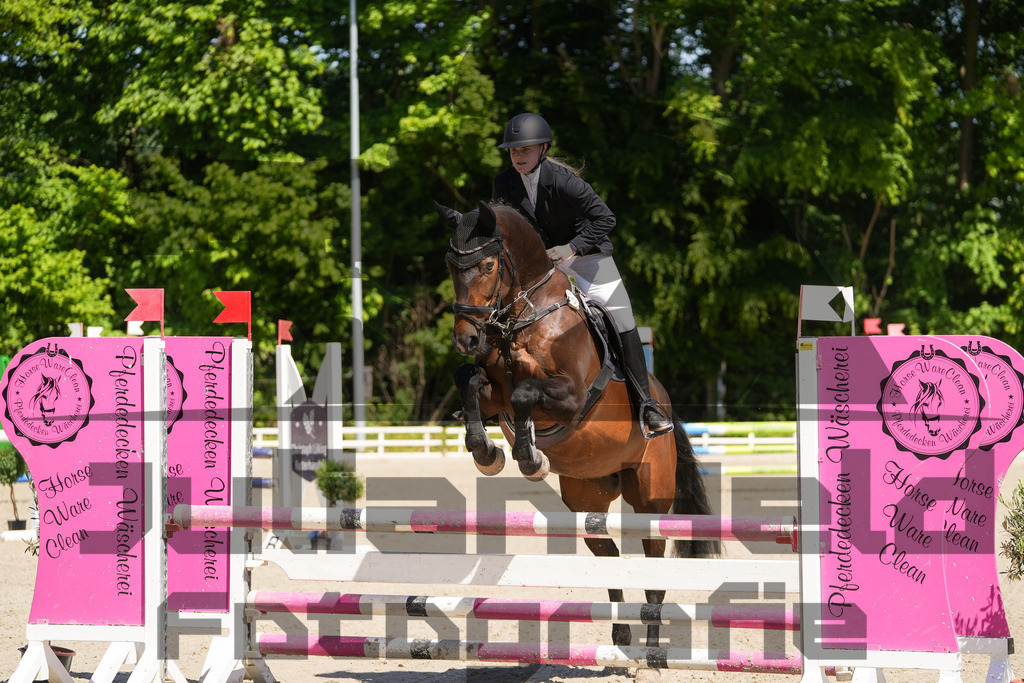 DSC02234 | Julian Held Fotografie - Realisiert mit Pictrs.com