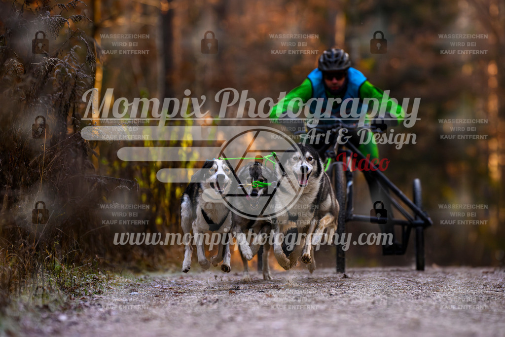 MompixPhotography_DM_AKDM_SO_2025_Wagen-51 | PayLife