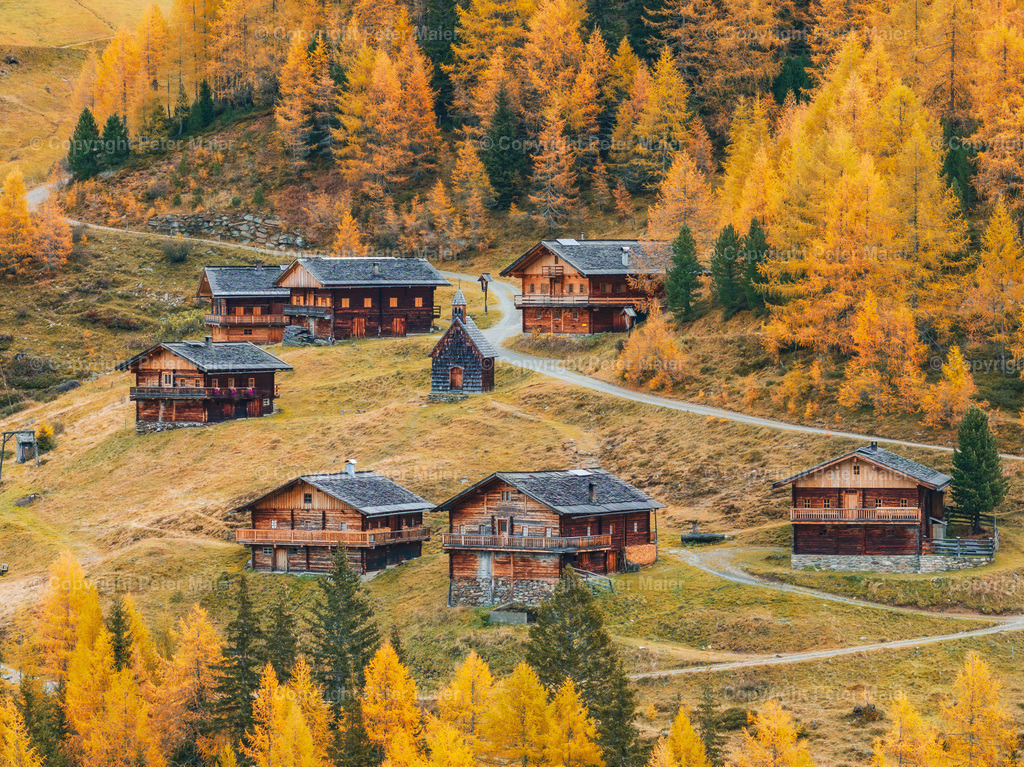 Kamelisenalm_Herbst_2023-5 | default