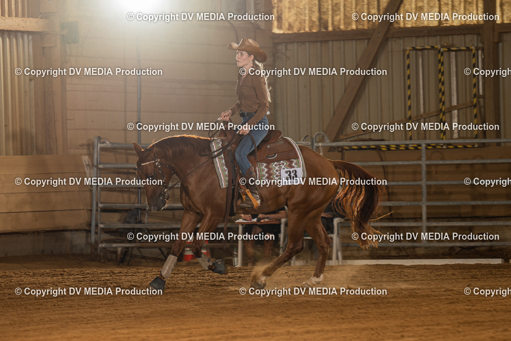 NID01741 | dv-media-shop - Realisiert mit Pictrs.com