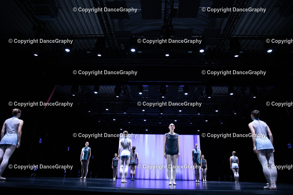 GPHY5441 | DanceGraphy - Realisiert mit Pictrs.com