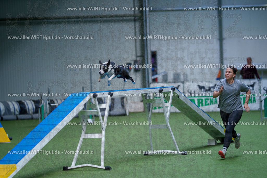@allesWIRTHgut_Tierfotografie - www.allesWIRTHgut.de - 2604260928-7R507842 | Professionelle Tierfotografie in Mönchengladbach von Daniel Wirth (allesWIRTHgut). Liebevolle & natürliche Bilder von Hunden & Katzen für unvergessliche Erinnerungen.