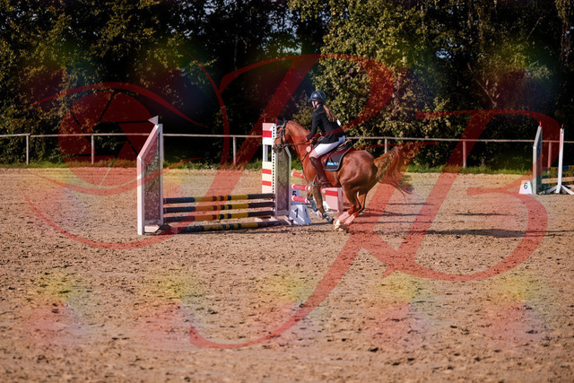2026_10_03_Siefer-Hof_155743_Z81_77151781 | Professionelle Reitsport-, Turnier- und Eventfotografie von Robert Broda. Galerien mit ausgewählten und bearbeiteten Bildern direkt online ansehen und bestellen.