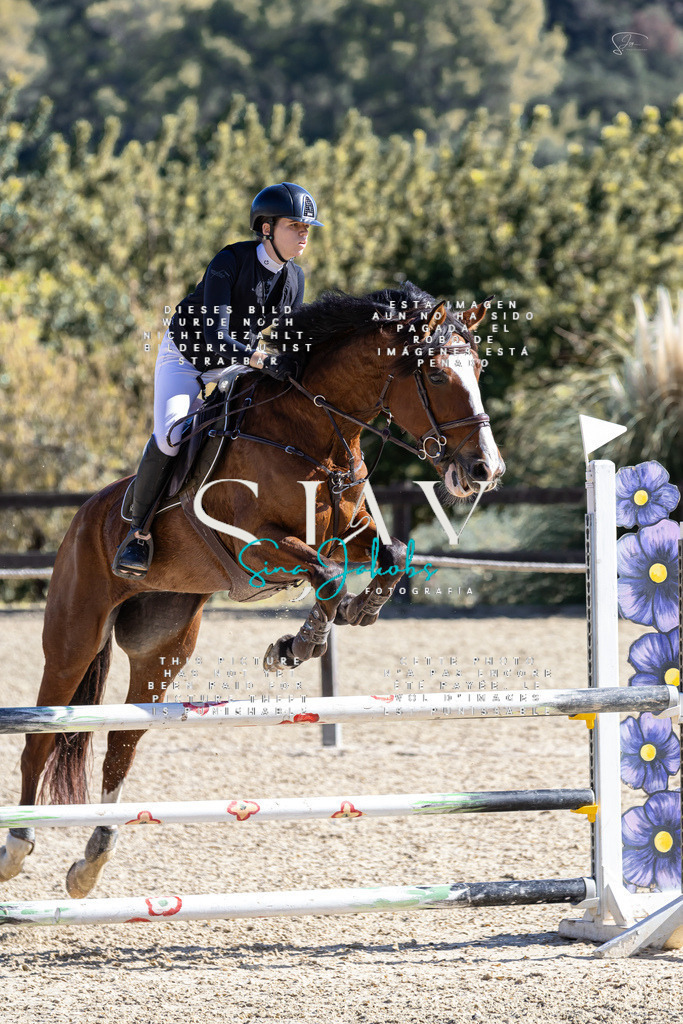 IMG_9890 (2) | s-jay-photography - Realisiert mit Pictrs.com