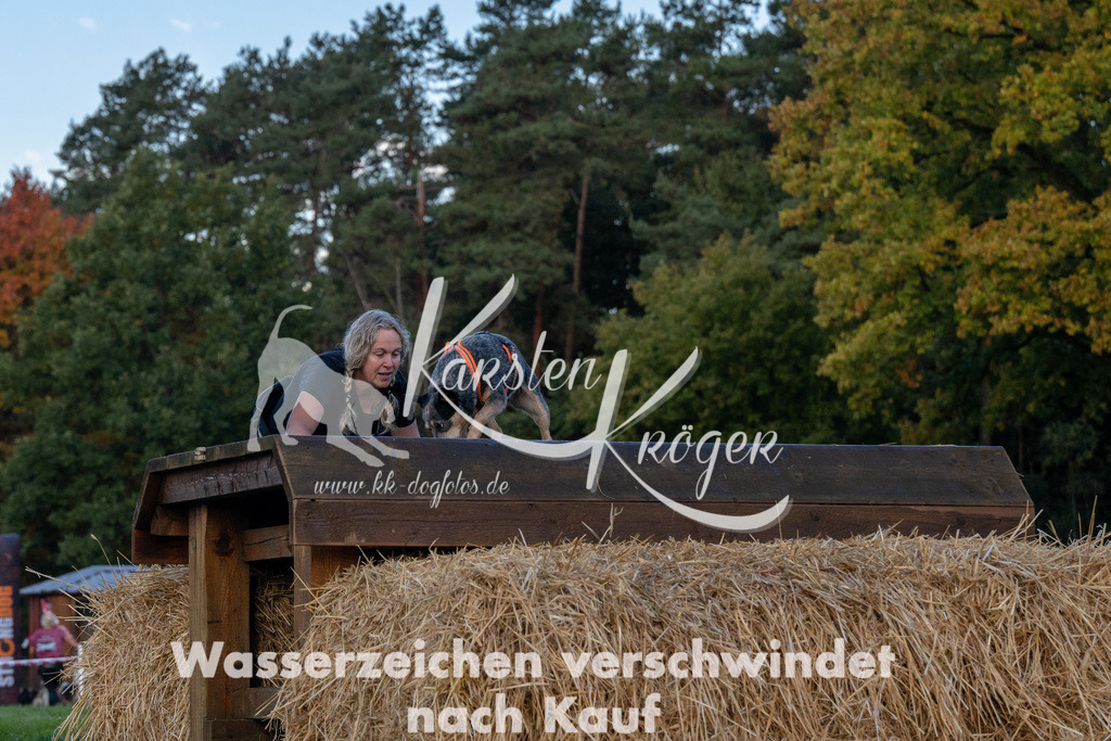 0840_ZZ91094 | kk-dogfotos