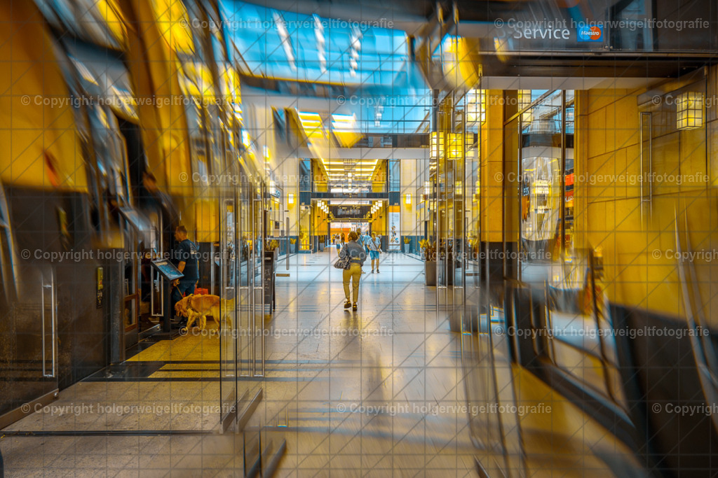 20260703132438Z63_5119 | Kaufen sie online außergewöhnliche Fotografien auf Leinwand Acrylglas Fotoprint Aludibond von holgerweigeltfotografie - Realisiert mit Pictrs.com