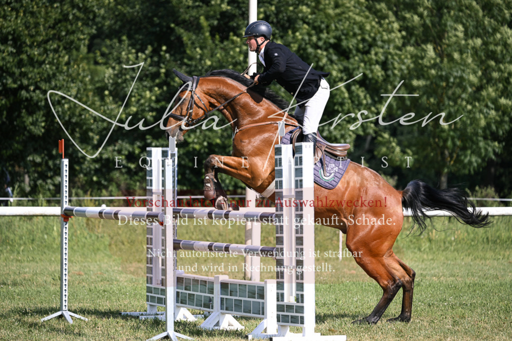 DSC_1084 | Pferde- und Turnierfotografie in Westsachsen. Pferdeportraits, Auftragszeichnungen und intuitive Kunst.