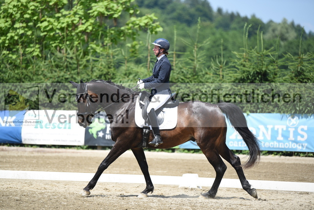 DSC_8959 | equestrian-live-com