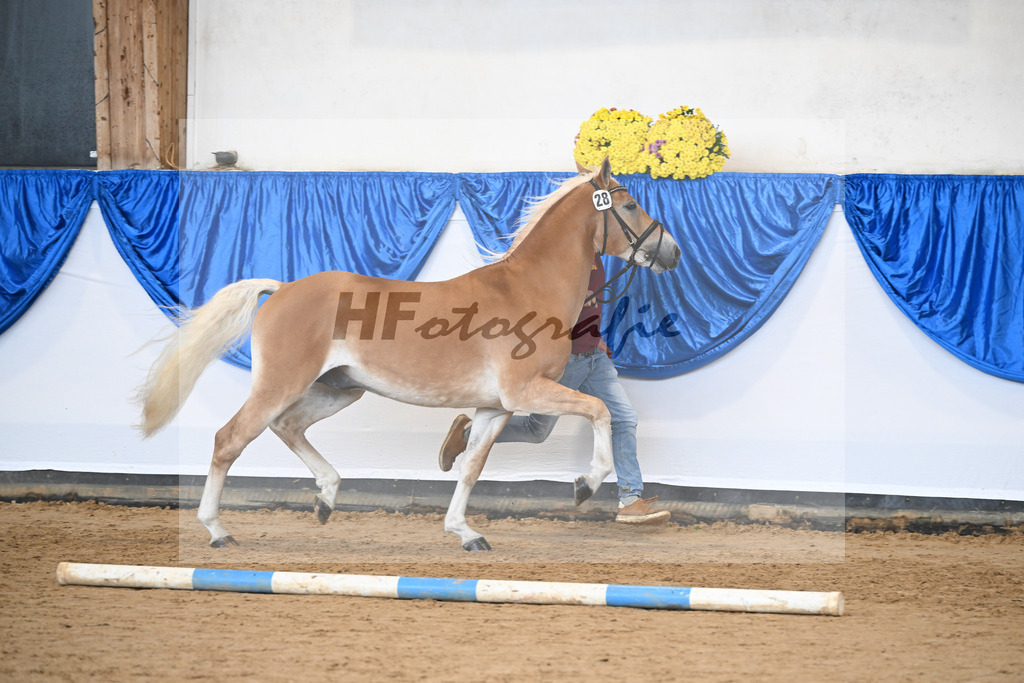 Kat-Nr. 28 nn v. Nio_Kirchberger_48251084 | hf-fotografie - Realisiert mit Pictrs.com