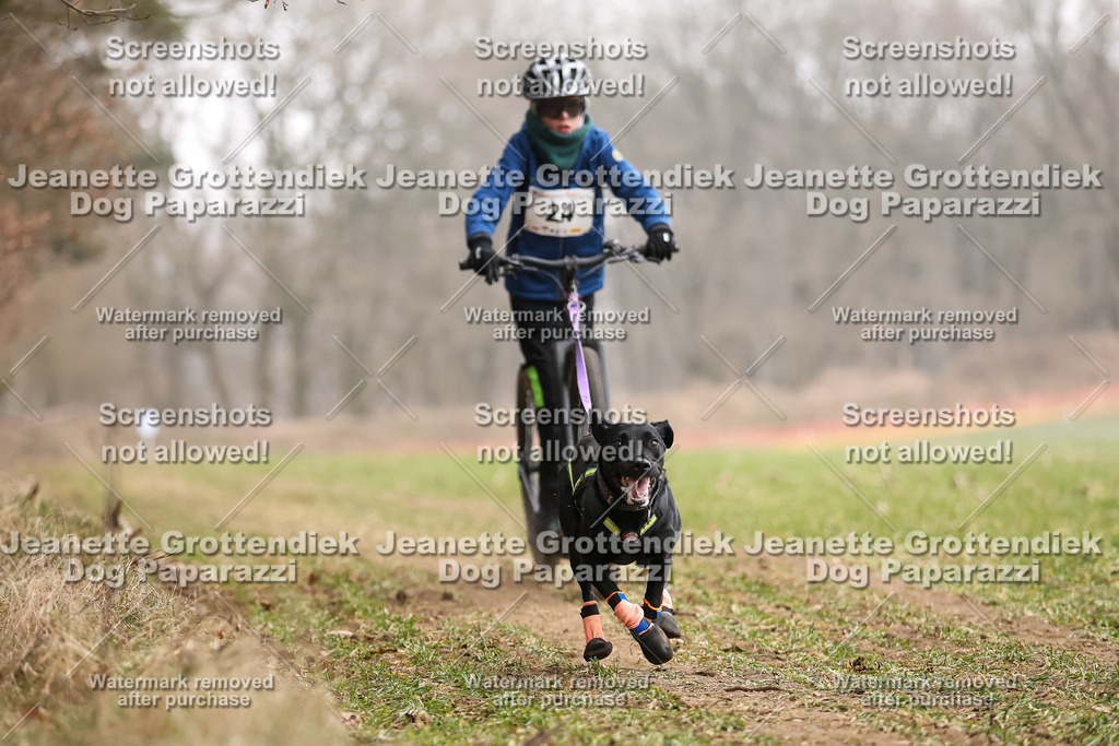 Dog Paparazzi - Plate 2026-83 | Dog Paparazzi Jeanette Grottendiek Fotografie & Videografie - Realisiert mit Pictrs.com