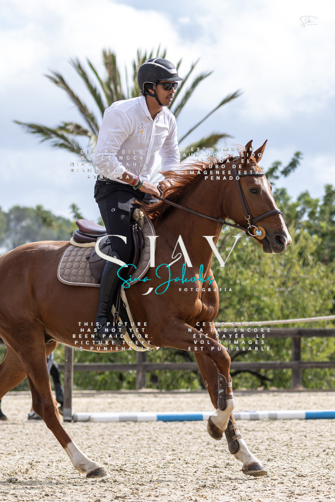 IMG_2456 | s-jay-photography - Realisiert mit Pictrs.com