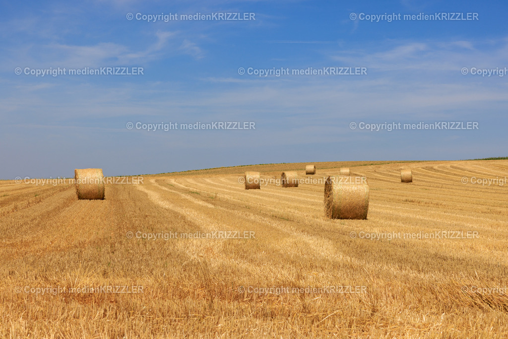 _J3A8128 | medienkrizzler - Realisiert mit Pictrs.com