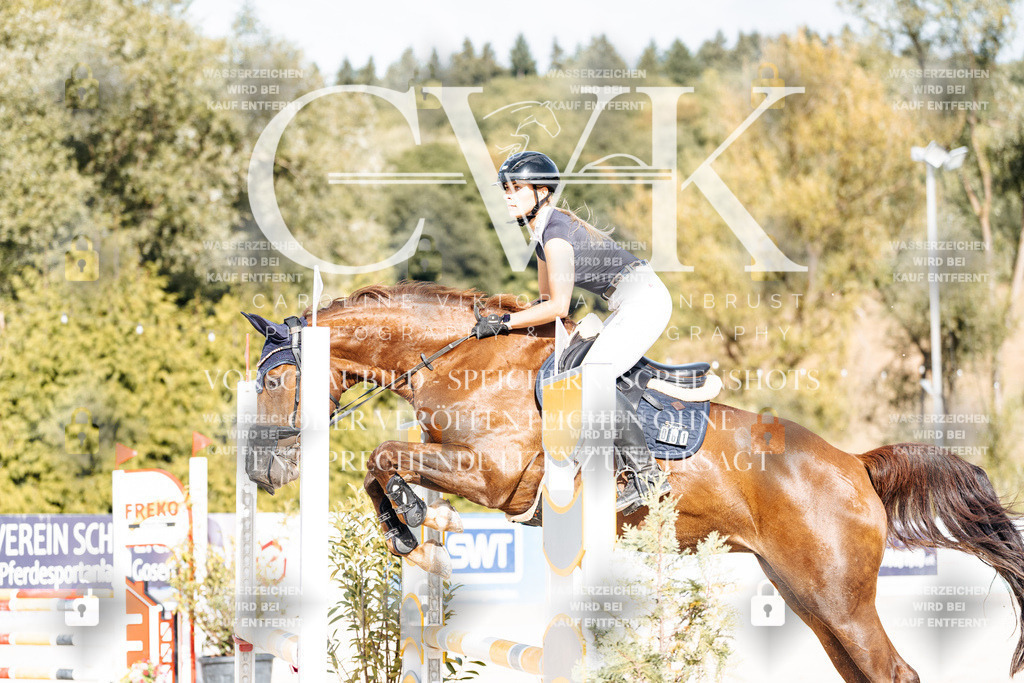 CK909109 | Turnierfotografie Pferdefotografie Trier Rheinland-Pfalz Pferdesport Reitsport Tierfotografie Sportfotografie Pferdevideo Pferdevideografie Equestrianvideography equestrianphotography  - Realisiert mit Pictrs.com