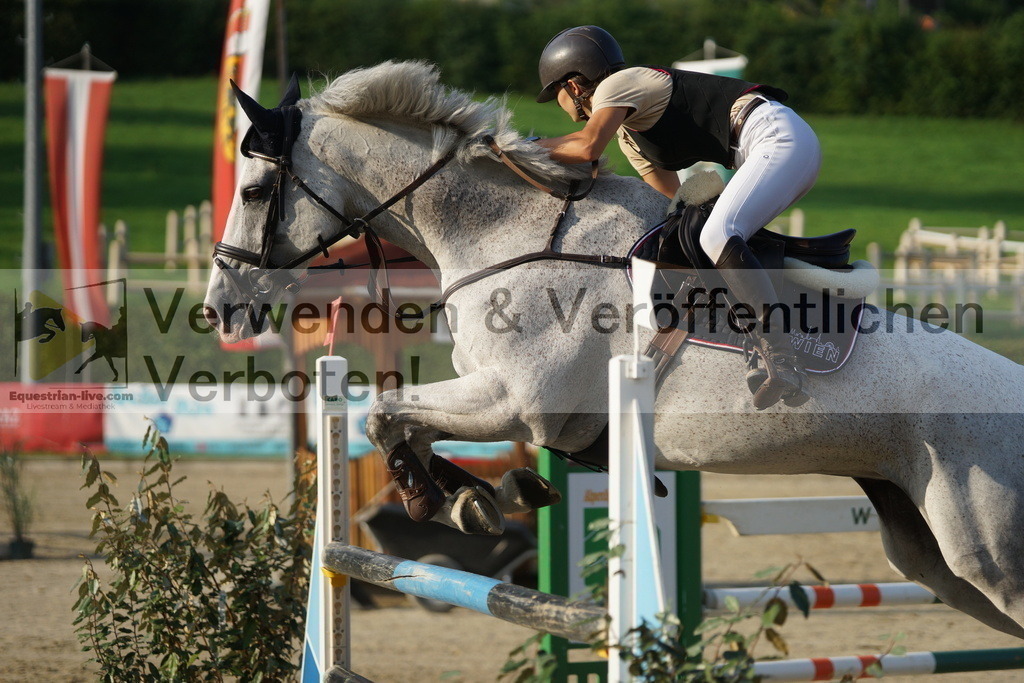 DSC07845 | equestrian-live-com