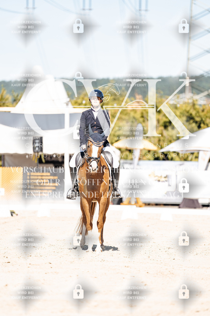 CK909122 | Turnierfotografie Pferdefotografie Trier Rheinland-Pfalz Pferdesport Reitsport Tierfotografie Sportfotografie Pferdevideo Pferdevideografie Equestrianvideography equestrianphotography  - Realisiert mit Pictrs.com