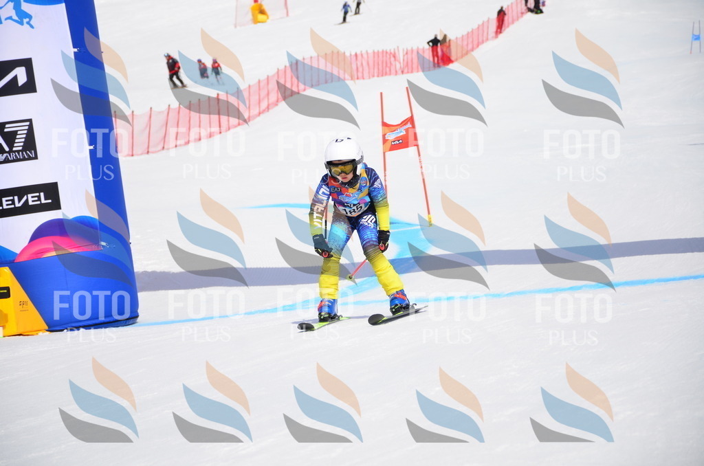 VR4_6835 | holidayphoto