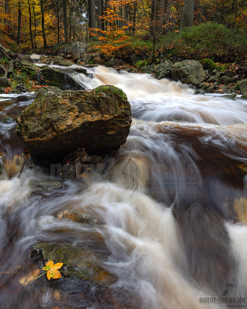 R5NF8966-20231105 | Herbstliche Landschaft mit Gebirgsbach. - Realisiert mit Pictrs.com