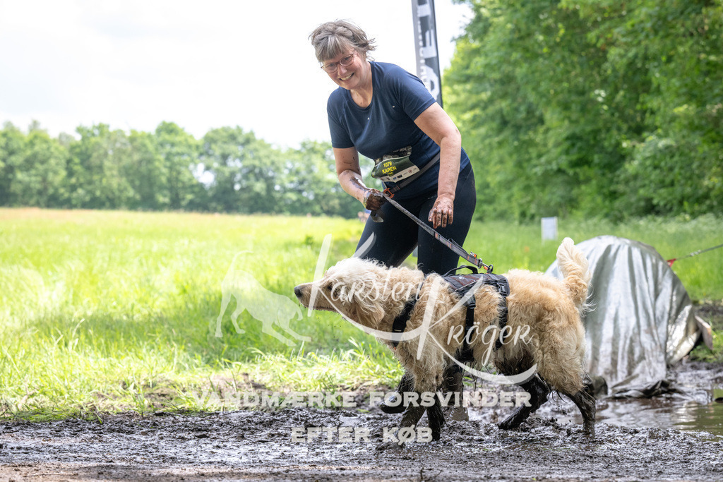 1250_ZZ93851 | kk-dogfotos