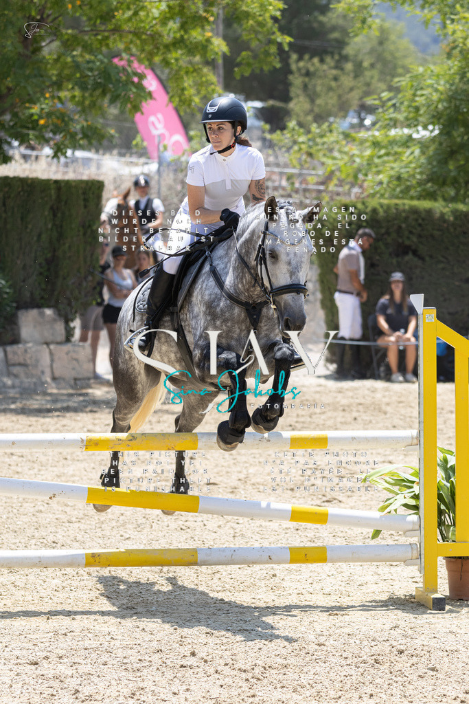 IMG_1498 | s-jay-photography - Realisiert mit Pictrs.com