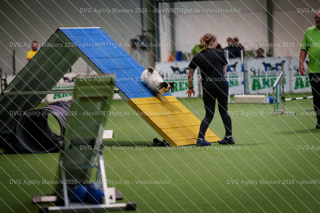 allesWIRTHgut_Tierfotografie-DVG_Agility_Masters_2026-13_58-7R500342 | Professionelle Tierfotografie in Mönchengladbach von Daniel Wirth (allesWIRTHgut). Liebevolle & natürliche Bilder von Hunden & Katzen für unvergessliche Erinnerungen.