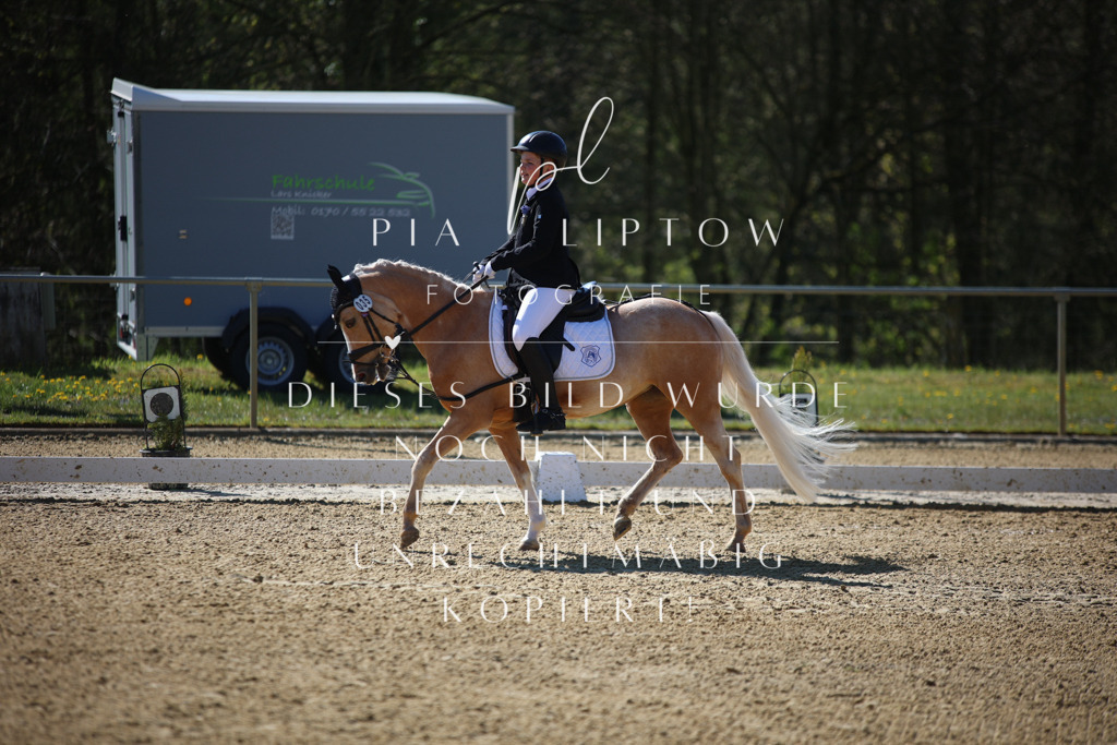 IMGT9987 | pl-fotografie