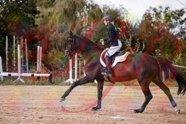 2026_10_03_Siefer-Hof_144050_Z81_12223299 | Professionelle Reitsport-, Turnier- und Eventfotografie von Robert Broda. Galerien mit ausgewählten und bearbeiteten Bildern direkt online ansehen und bestellen.