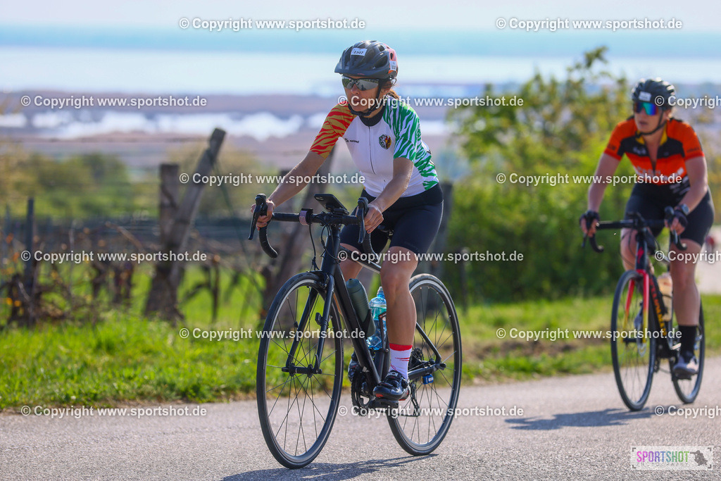 TRA_0363 | Neusiedlersee Radmarathon 2026@sportshot_your_pictrs #yourpictures#roadtowm2029 #nrm #neusiedlerseeradmarathon #neusiedlersee #neusiedlerseetourismus #burgenland #mörbisch #nrm26 #burgenlandtourismus #voglundco #poweredbyburgenlandtourismus #radsport #rad #marathon #ucigranfondo #visitburgenland #ucigranfondoworldseries