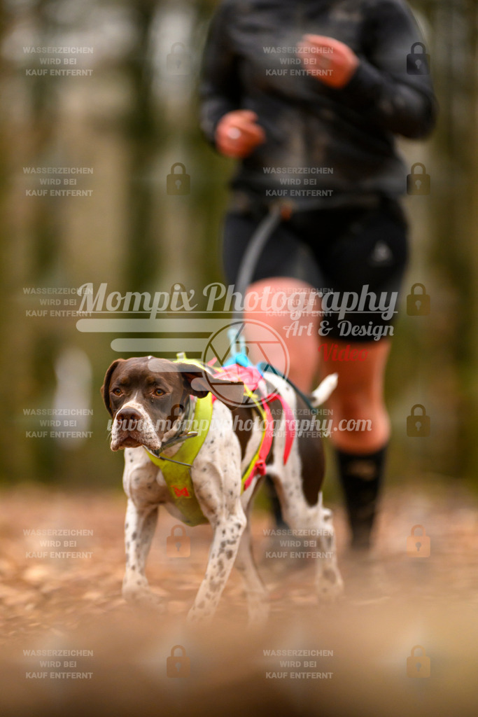 MompixPhotography_Habay2024_SA_Fun-66 | PayLife