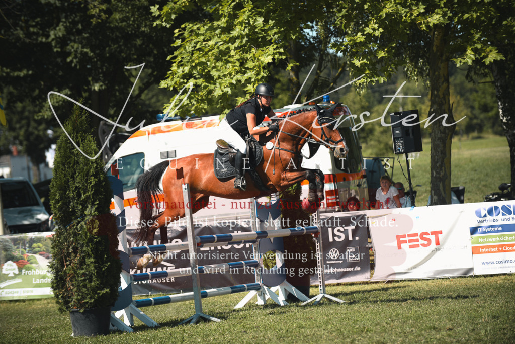 DSC_7093 | Pferde- und Turnierfotografie in Westsachsen. Pferdeportraits, Auftragszeichnungen und intuitive Kunst.