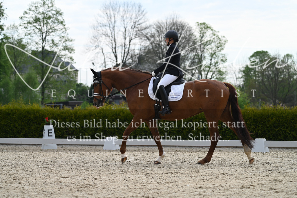 20230512_JK-Röhrsdorf-02-314 | Pferde- und Turnierfotografie in Westsachsen. Pferdeportraits, Auftragszeichnungen und intuitive Kunst.