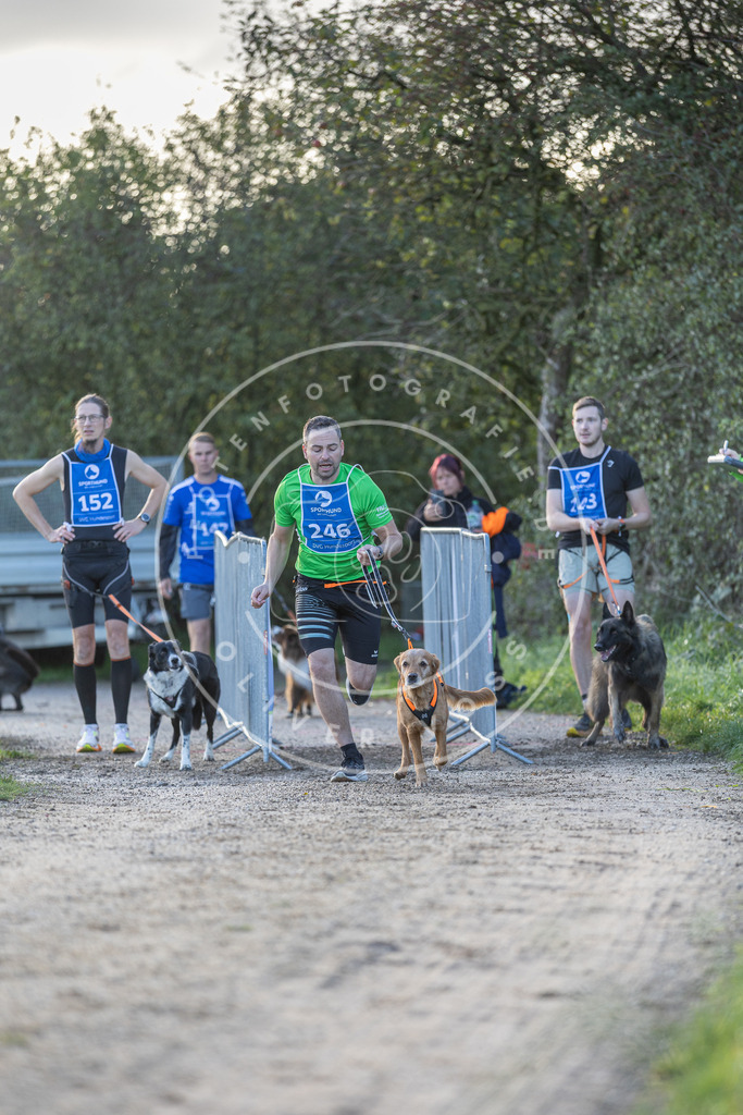 Pfotenfotografie.de_DV3A2712 | Hundefotografie, Tierfotograf, Pfotenfotografie, Fotoshooting Hund, Hunde Portrait, Hundesport, Hundeportraits, Heideshooting, Hunde, Sportfotograf, Hundefotograf, Turnierhundsport, THS, canicross - Realisiert mit Pictrs.com