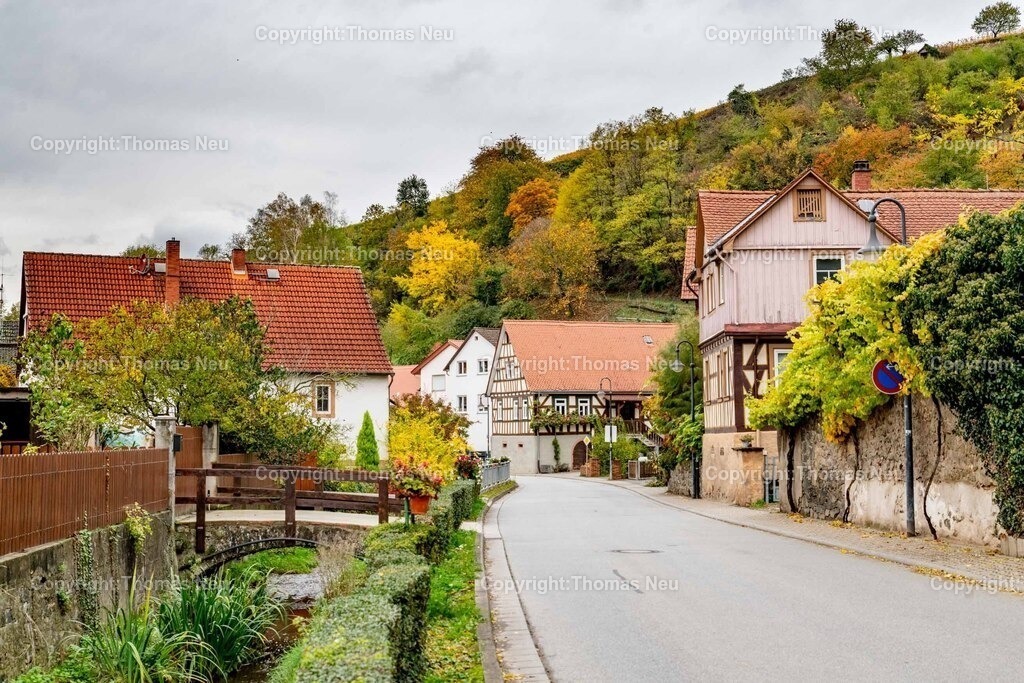 DSC_9568 | bfr,Zell ,Mittwochsserie, ,, Bild: Thomas Neu