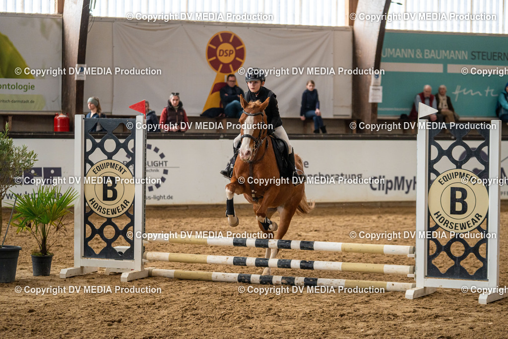 Kranichstein Tag 2-709 | dv-media-shop - Realisiert mit Pictrs.com