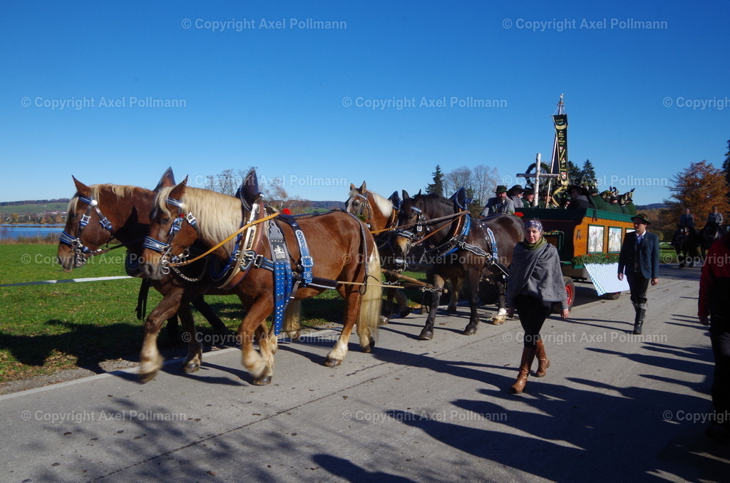 IMGP8181 | fotografiert von Axel PollmannLeonhardi Wallfahrt Benediktbeuern und Murnau, Fronleichnam, Fasching, Landschaft im Loisachtal und Benediktbeuern  - Realisiert mit Pictrs.com