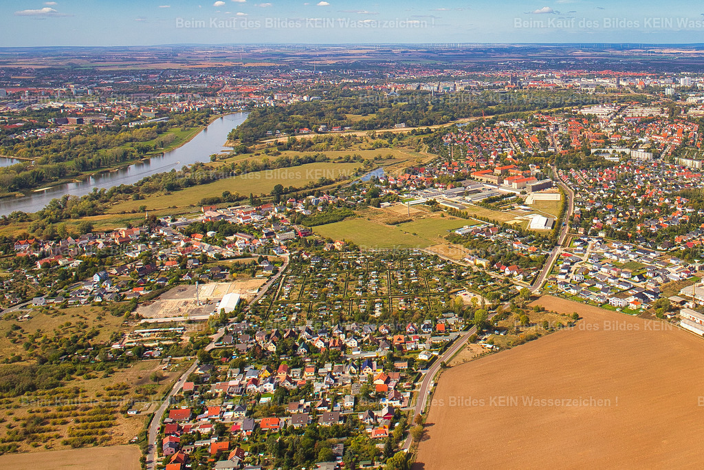 Hasenbreite_Prester_9395 | Prester Magdeburg - Realisiert mit Pictrs.com