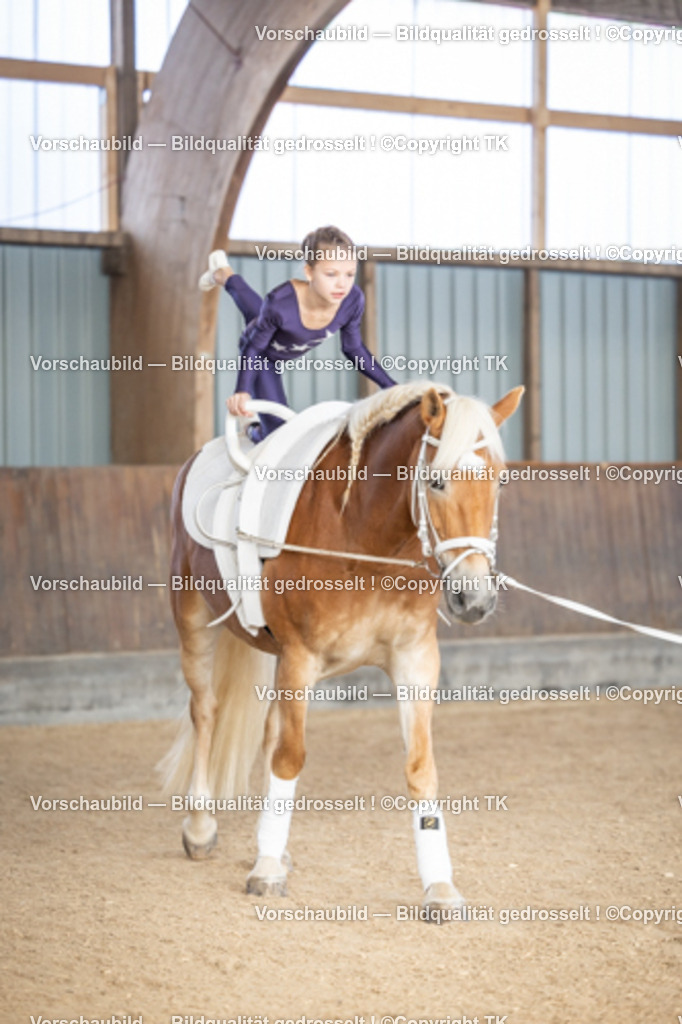 _D5A6744 | Emotionale Pferde- & People-Fotografie rund um Heidelberg, Leimen & Umgebung. Natürliche Fotos von Pferd, Mensch & Familie. Jetzt Termin sichern!