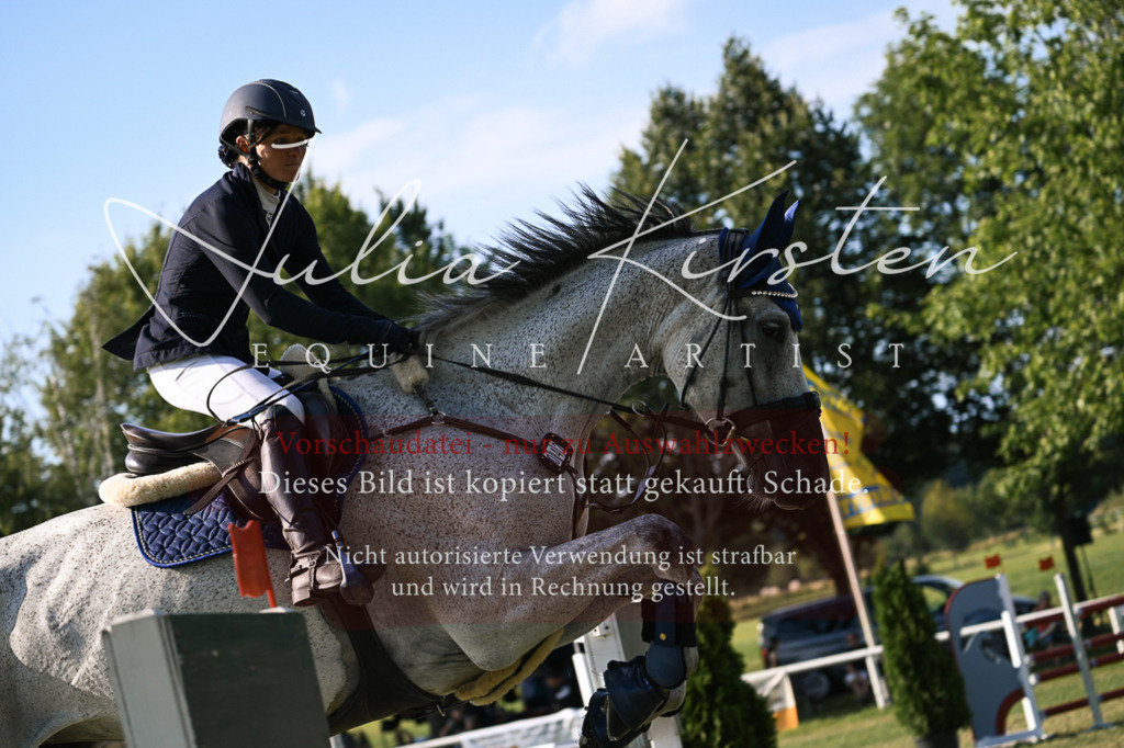 DSC_1676 | Pferde- und Turnierfotografie in Westsachsen. Pferdeportraits, Auftragszeichnungen und intuitive Kunst.