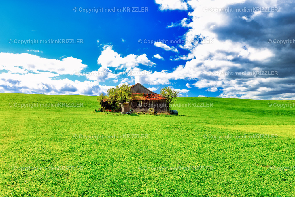 _J3A8646 | medienkrizzler - Realisiert mit Pictrs.com