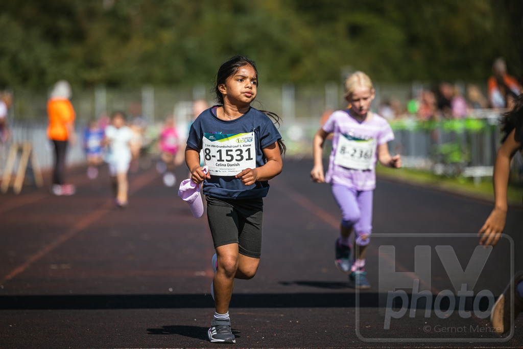 GM_20230916_248170_Canon EOS R5_GMHY6570_RAW_s3900 | Webshop der Firma HY-photo, bietet Fotos und Fotoprodukte vorrangig mit Motiven aus Hoyerswerda und Umgebung, aber auch weltweit. Fotograf: Gernot Menzel - Realisiert mit Pictrs.com