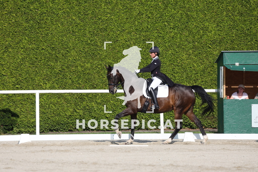 0P6A3838 | Willkommen bei Brunnmayr - Design & Fotografie – Ihrem Spezialisten für Reitturniere und Pferdeveranstaltungen in Oberösterreich, Salzburg und Bayern! Seit über 17 Jahren sind wir leidenschaftlich dabei.