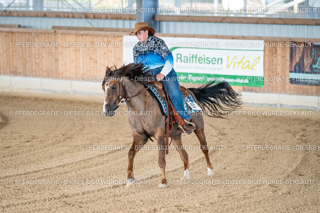 DSC01741 | Pferdegrafie