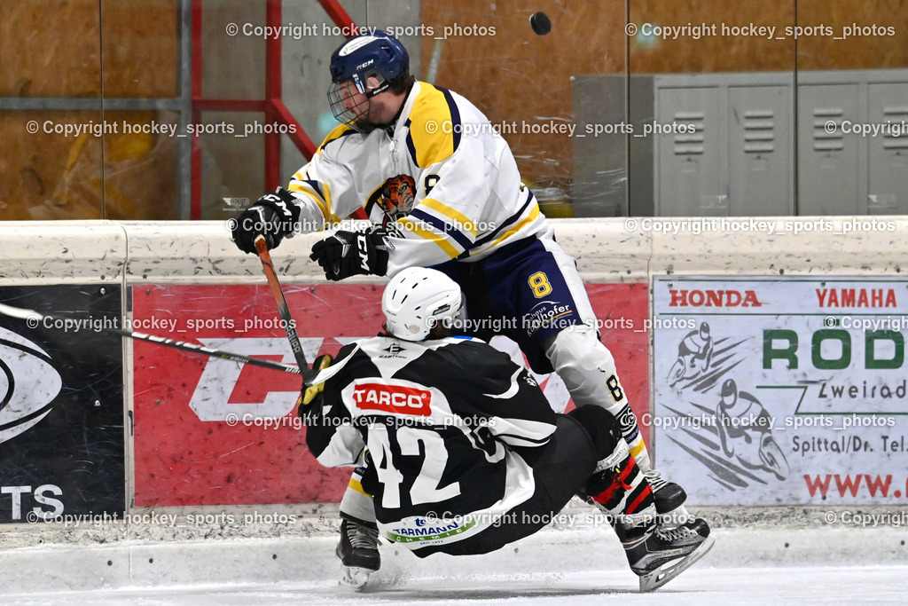 EC Tigers Paternion vs. Tarco Wölfe II | #42 Miklauc Felix Tarco Wölfe II, #8 Ortner Sandro EC Tigers Paternion, EC Tigers Paternion vs. Tarco Wölfe II, EC Tigers Paternion vs. Tarco Wölfe II am 19.12.2024 in Spittal an der Drau (Eissportzentrum Spittal), Austria, (Photo by Bernd Stefan)