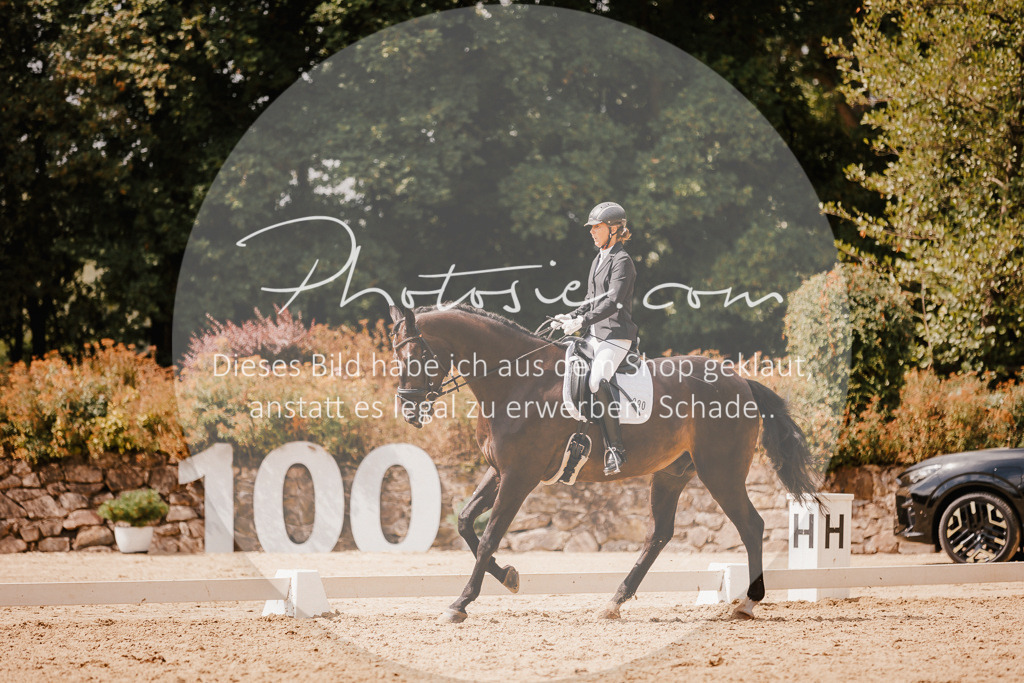 3I6A6125 | Stimmungsvolle Portraits und Reitsportfotografie im Ruhrgebiet und im Münsterland.

Pferdefotografie, Hundefotografie, Tierfotografie, Reportagen, Portraits von Tier und Mensch, Turnierfotografie in Bochum, Recklinghausen, Marl, Haltern am See, Dülmen.. - Realisiert mit Pictrs.com