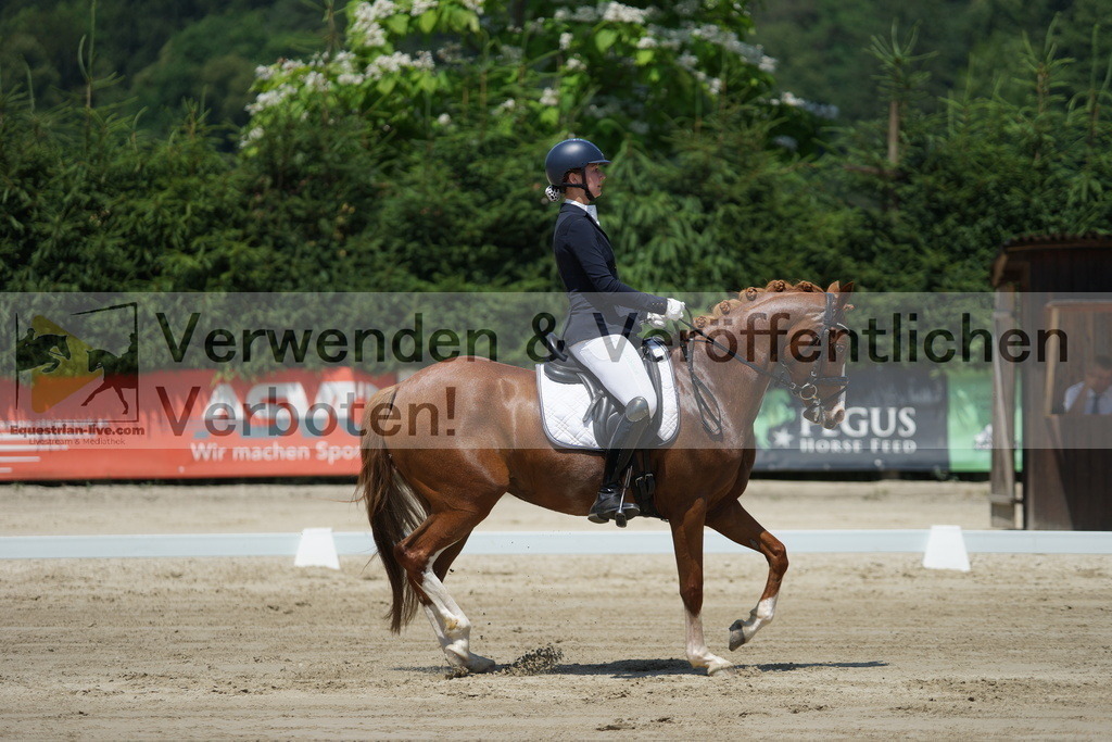 DSC04903 | equestrian-live-com