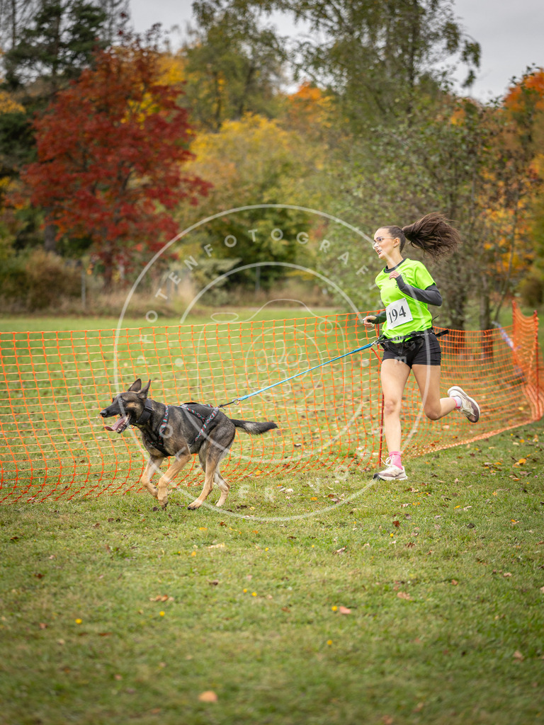 Pfotenfotografie_DV3A3933 | Hundefotografie, Tierfotograf, Pfotenfotografie, Fotoshooting Hund, Hunde Portrait, Hundesport, Hundeportraits, Heideshooting, Hunde, Sportfotograf, Hundefotograf, Turnierhundsport, THS,  - Realisiert mit Pictrs.com