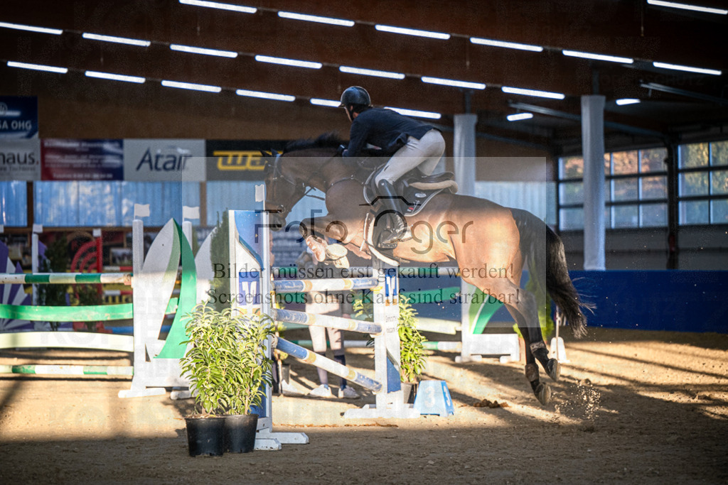 DOS_4086 | Entdecke hochwertige Reitturnierfotos von Foto Oger. Professionell, emotional und authentisch – jetzt Lieblingsmomente im Shop bestellen.Deutschlandweite Turnierfotografie. - Realisiert mit Pictrs.com
