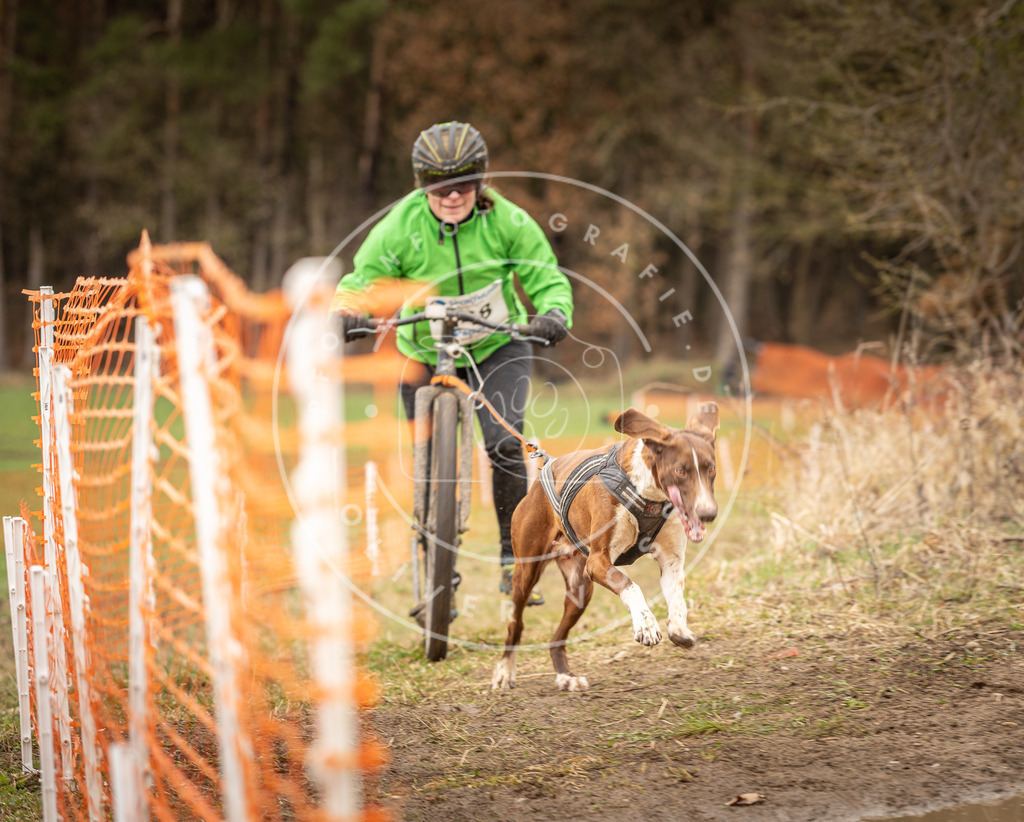 DV3A1595 | Hundefotografie, Tierfotograf, Pfotenfotografie, Fotoshooting Hund, Hunde Portrait, Hundesport, Hundeportraits, Heideshooting, Hunde, Sportfotograf, Hundefotograf, Turnierhundsport, THS,  - Realisiert mit Pictrs.com