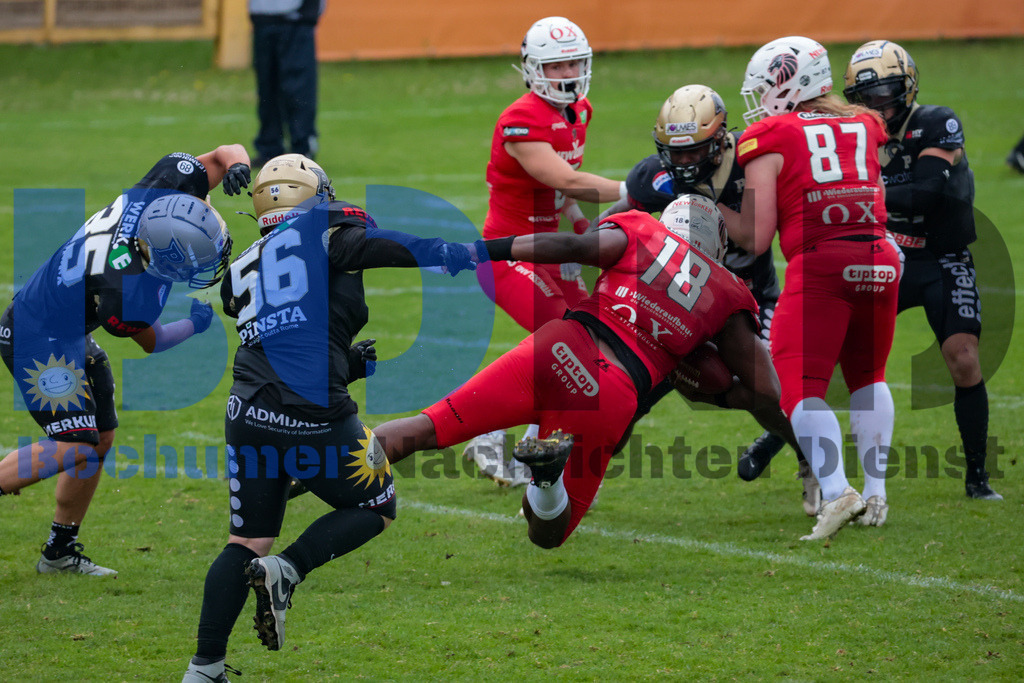GFL: Paderborn Dolphins vs. New Yorker Lions{date} -  | {headline}(Foto: Sebastian Sendlak / BOND) - Realisiert mit Pictrs.com