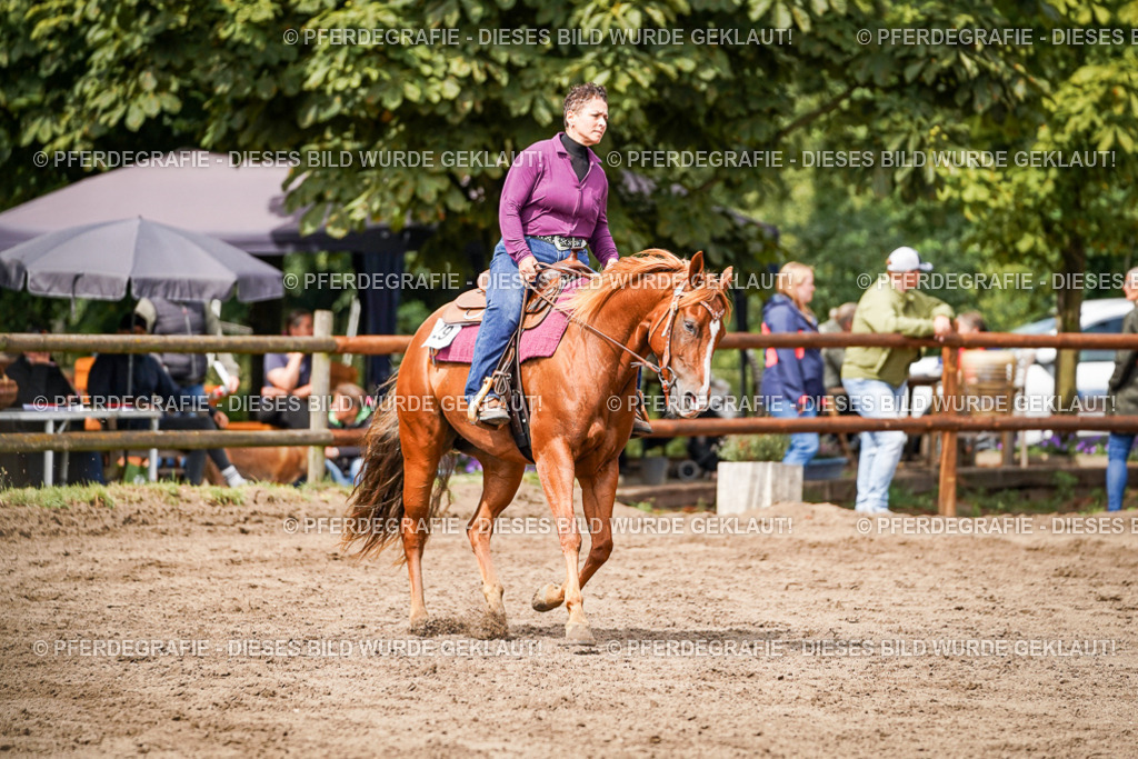 DSC07117 | Pferdegrafie