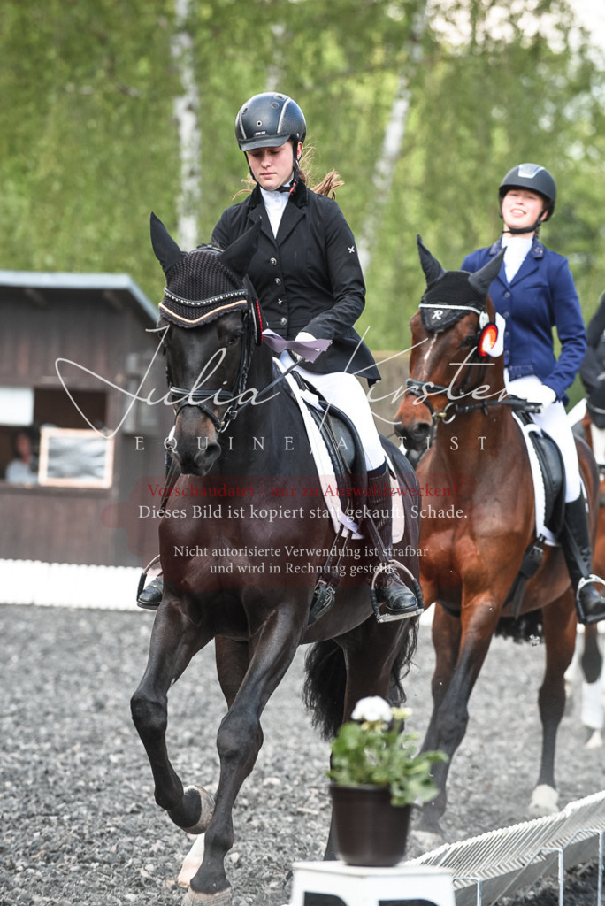 DSC_9093 | Pferde- und Turnierfotografie in Westsachsen. Pferdeportraits, Auftragszeichnungen und intuitive Kunst.